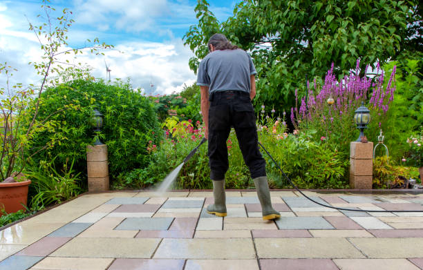 Best Sidewalk and Walkway Cleaning  in Waconia, MN